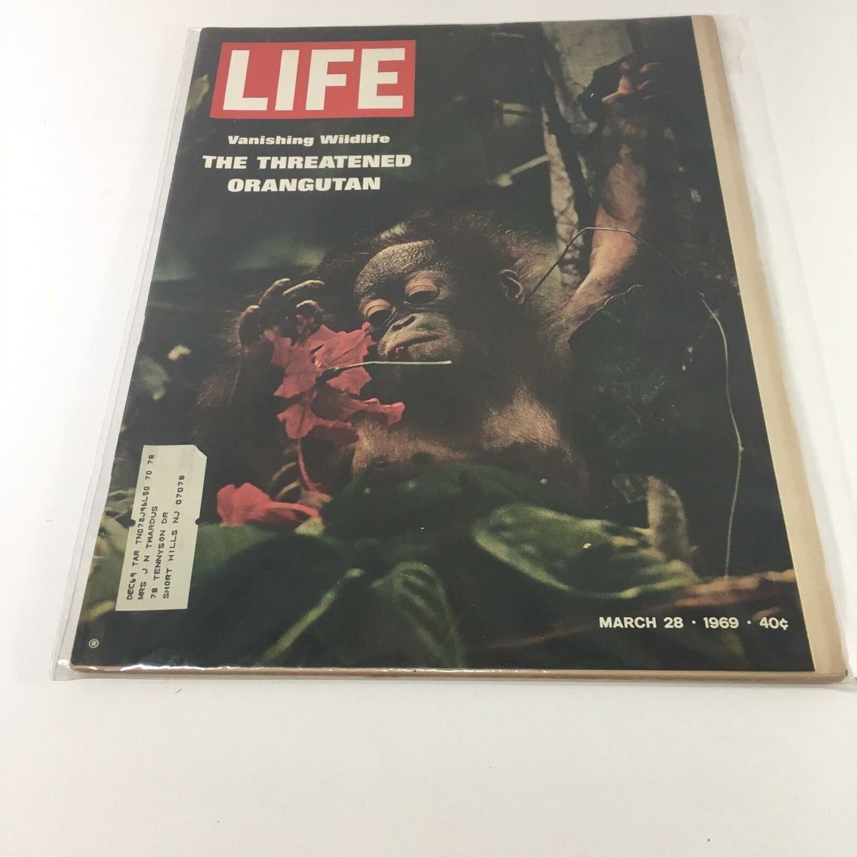 VTG Life Magazine March 28 1969 featuring the cover story 'Vanishing Wildlife: The Threatened Orangutan' with an image of a young orangutan interacting with tropical flowers.