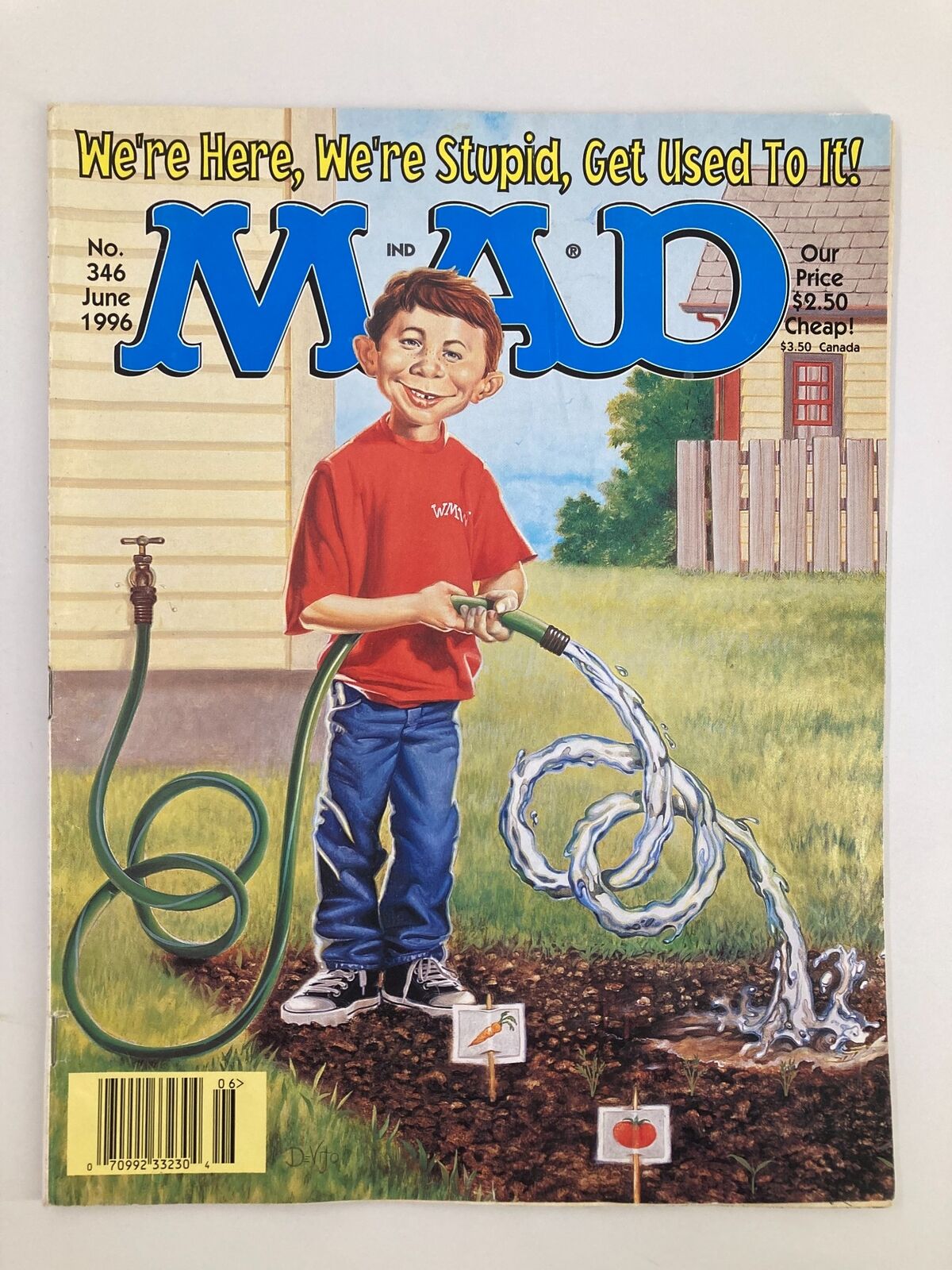 Cover of MAD Magazine June 1996 No. 346 titled 'We're Here, We're Stupid'. Depicts a young boy watering plants with a garden hose, showcasing the distinctive humor and artwork of MAD Magazine from the late 90s.
