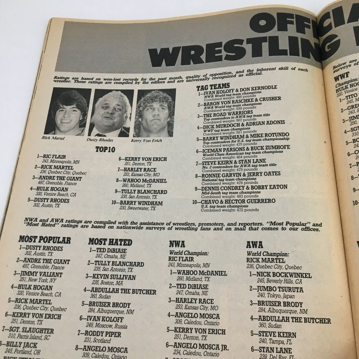 The Wrestler Magazine November 1984 displaying the official wrestling ratings, including top wrestlers and tag teams of the era.