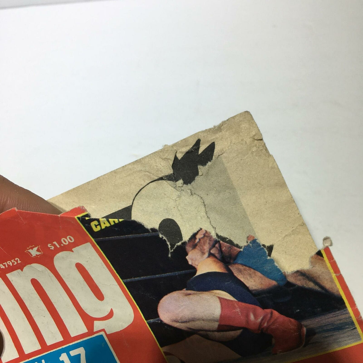 Close-up view of the Wrestling 1976 Annual #17 cover, highlighting a wrestling action scene and wear on the edges of the cover.