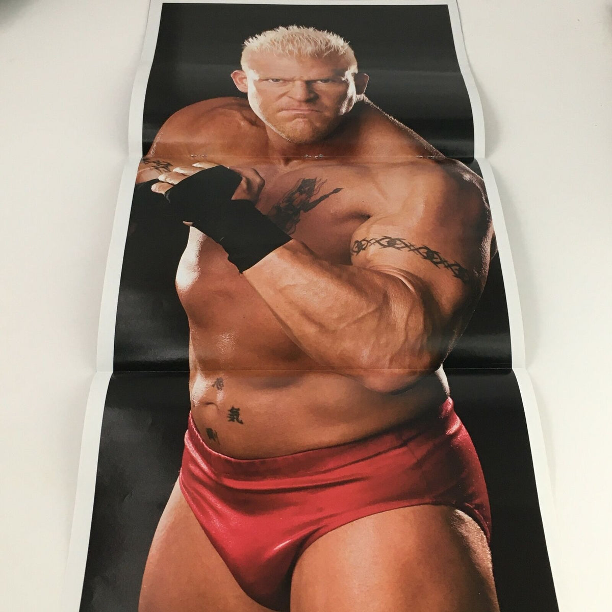 Poster from WWE Smack Down Magazine January 2005 featuring a powerful image of Brock Lesnar in a wrestling pose.
