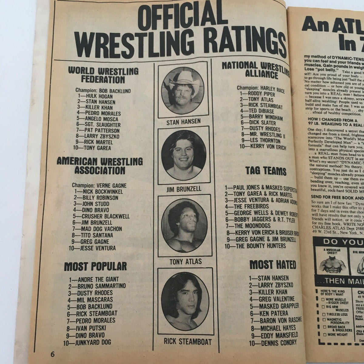 Official wrestling ratings page from The Wrestler Magazine June 1981 showcasing rankings for WWF, AWA, and NWA wrestlers including Stan Hansen and Jim Brunzell.