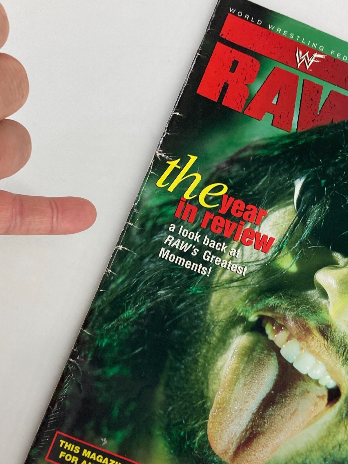 WWF Raw Magazine January 1999 cover featuring The Brood's Lifestyle, showcasing the magazine's title and visuals of a wrestler with long hair and a unique expression.