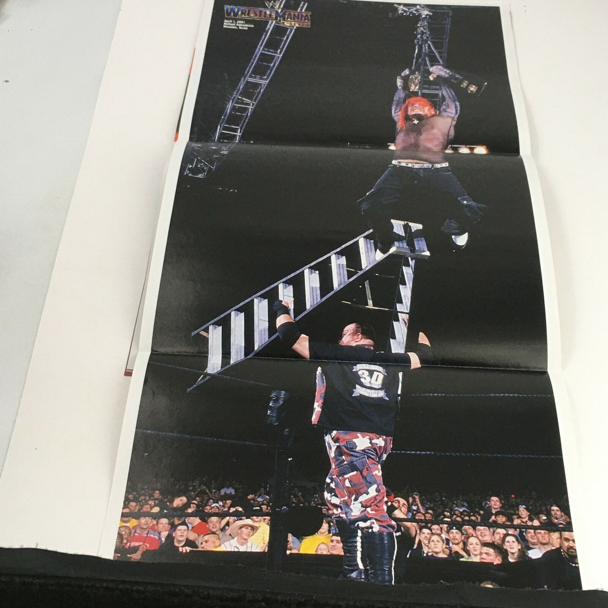 WWE Raw Magazine March 2004 poster insert depicting a high-flying moment from WrestleMania involving ladder matches.