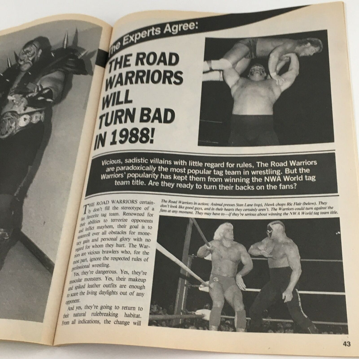 Feature page in Victory Sports Wrestling Magazine Spring 1988 discussing the Road Warriors and their status in wrestling, with accompanying imagery.
