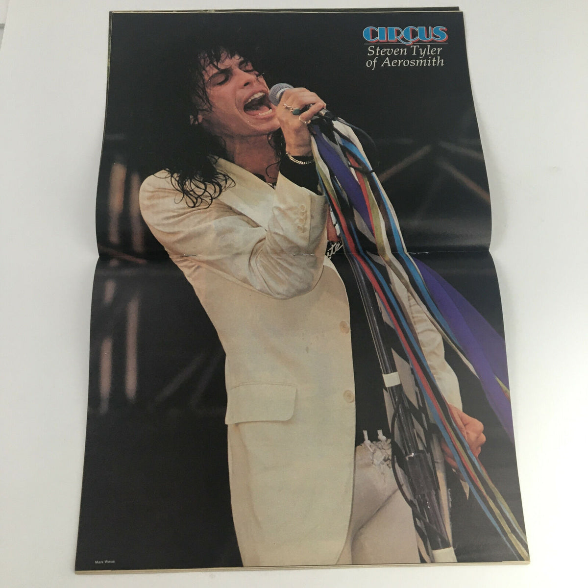 Full-page poster of Steven Tyler of Aerosmith from Circus Magazine October 3, 1978, showcasing the artist in a dynamic performance.