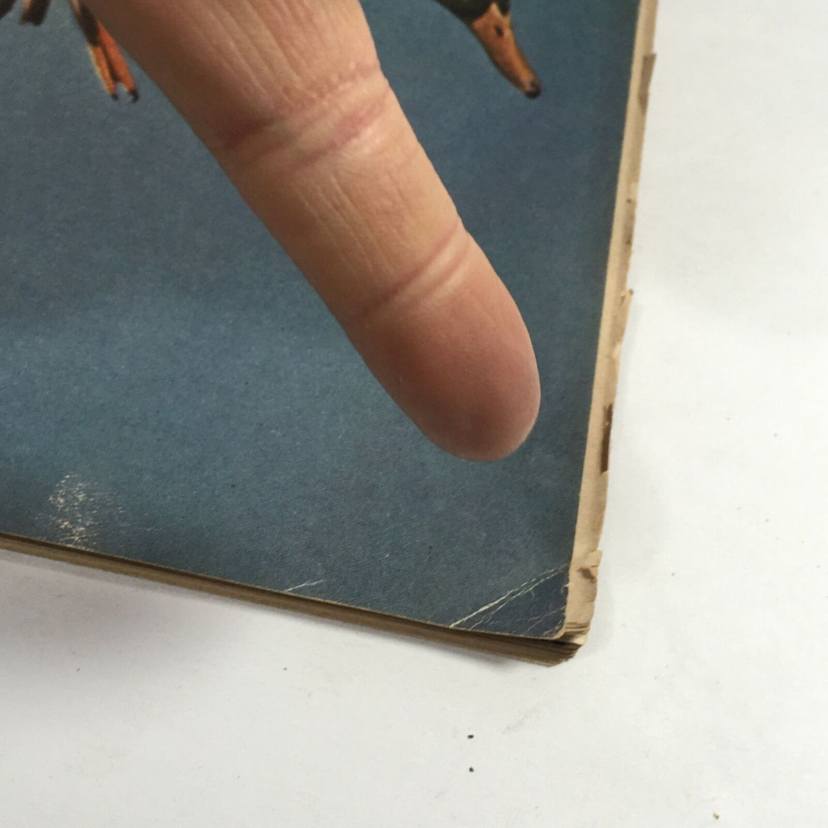 Detailed view of the corner of the vintage Sports Illustrated Magazine from October 21, 1957 titled 'Wings at Dawn', highlighting minor wear and a finger pointing at the cover.