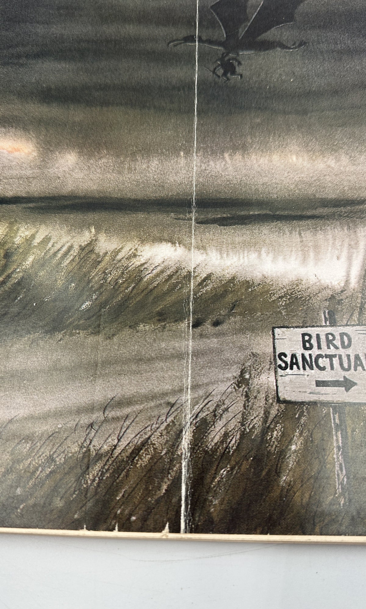 The New Yorker Magazine November 11, 1961 Giant Bird Sanctuary Charles Addams Cover close-up showing the illustrated shoreline, flying bird, cover crease, and bird sanctuary sign.