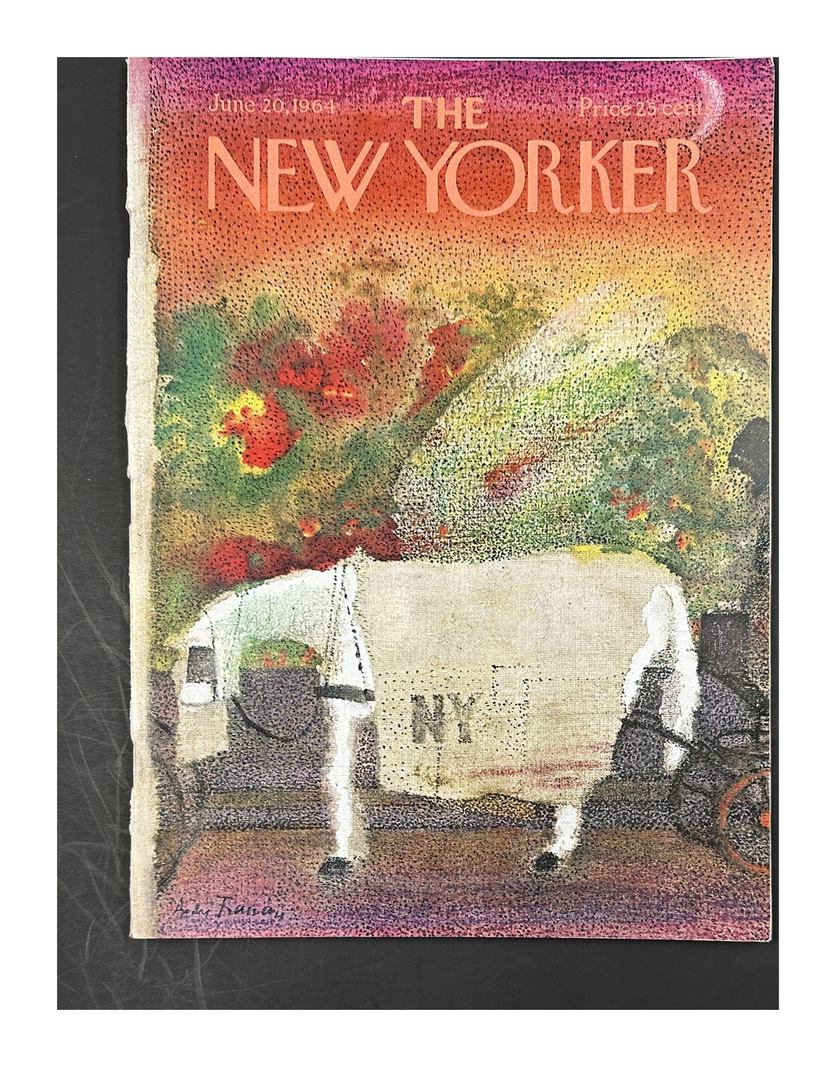 S334_171_NCB2 cover