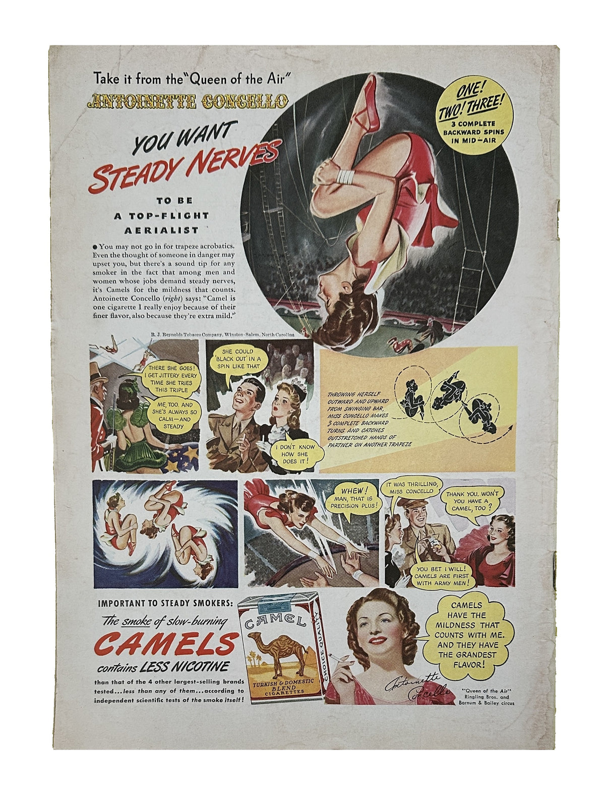 S334_335_NCA8 back