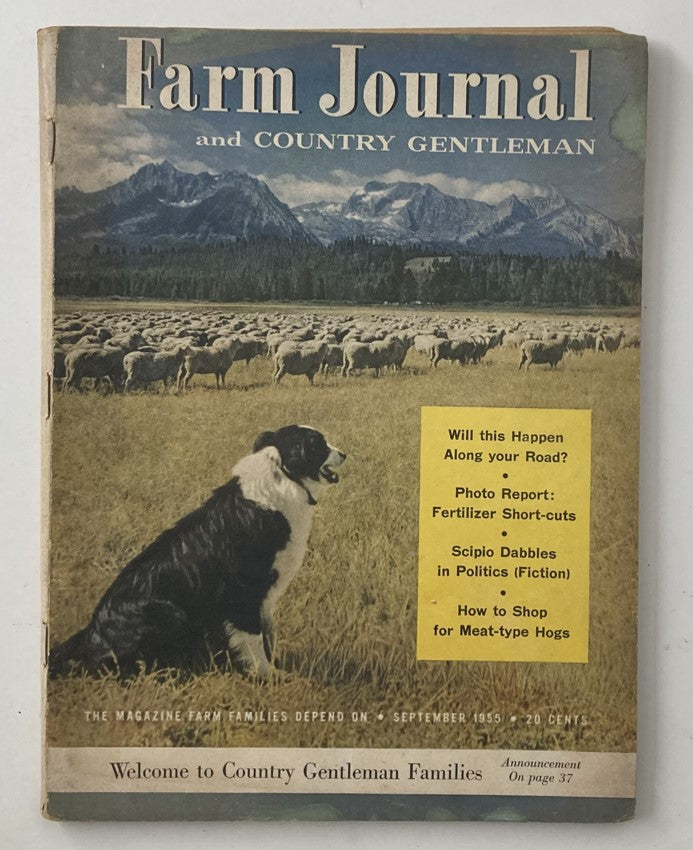 Cover of Farm Journal & Country Gentleman Magazine from September 1955 featuring a sheepdog and grazing sheep against a mountain backdrop, highlighting articles on farming and rural life.