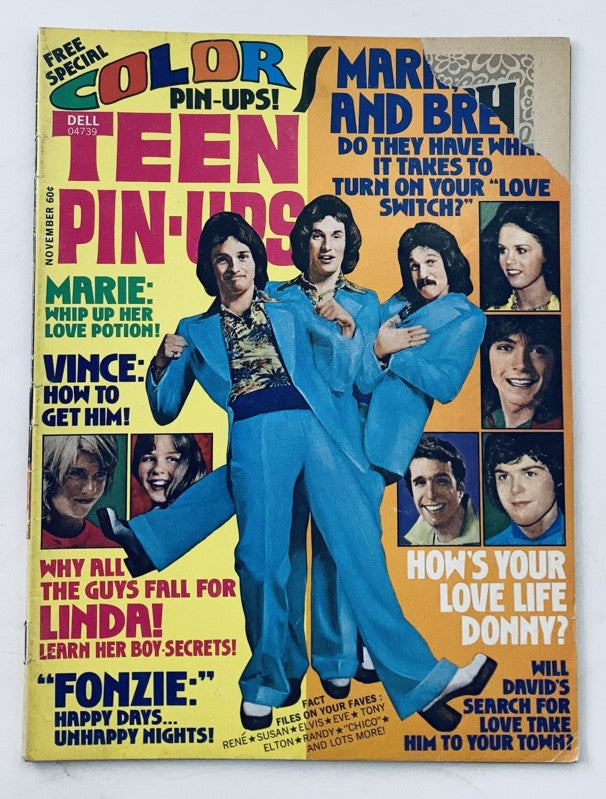 Cover of VTG Teen Pin-Ups Magazine from November 1975 featuring colorful design and popular teen idols including Donny Osmond and David Cassidy.