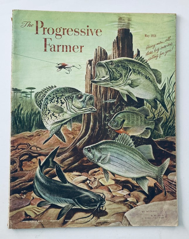 Vintage The Progressive Farmer Magazine May 1954 Vol 69 #5 Ten Pasture Helps for May