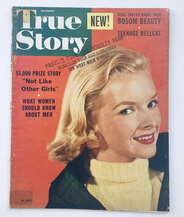 Cover of VTG True Story Magazine, November 1953, featuring the headline 'Teenage Hellcat' and a smiling woman with blonde hair, representing mid-century culture.