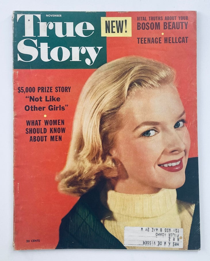 Cover of VTG True Story Magazine November 1953 featuring Cover Girl Lois Gunas. The cover highlights articles like '$5,000 Prize Story' and 'What Women Should Know About Men'.