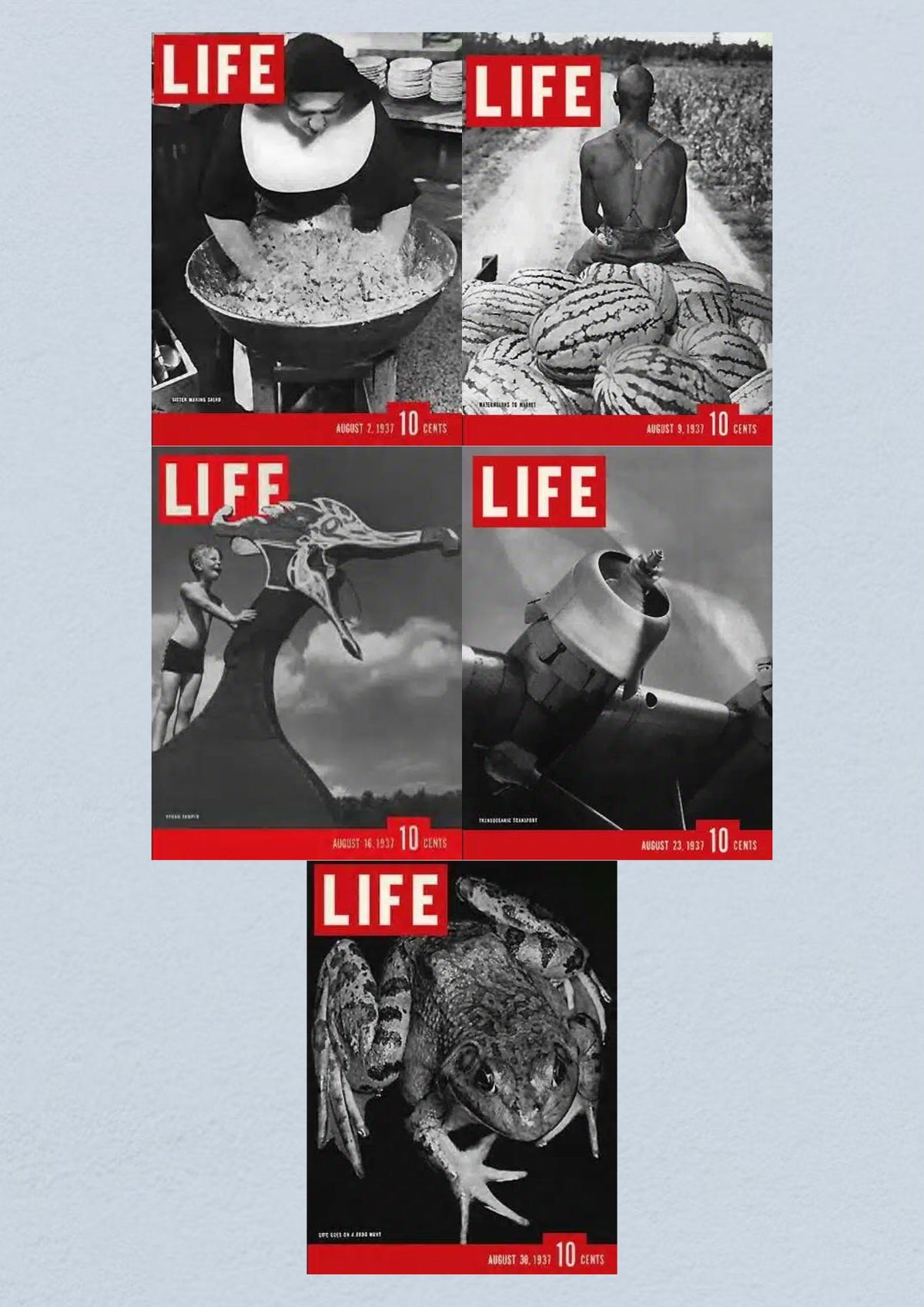 Life Magazine August 30, 1937 issue displaying a close-up of a frog, part of a lot of 5 full months from August 1937.