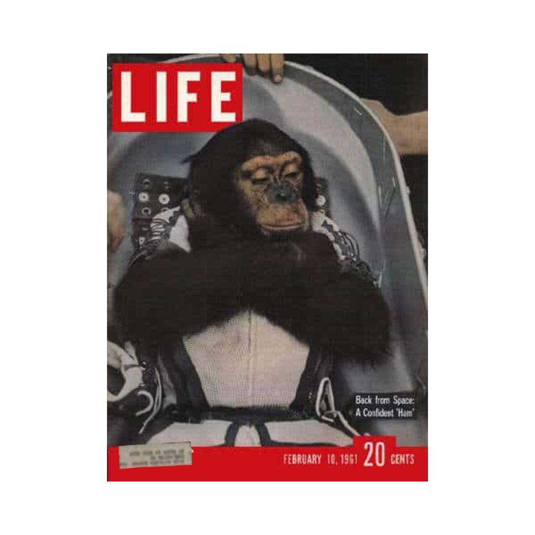 Cover of VTG Life Magazine from February 10, 1961 featuring Space Monkey Ham, showcasing a chimpanzee in a space suit with the headline 'Back from Space: A Confident Ham'. The magazine is marked with its date and a price of 20 cents.