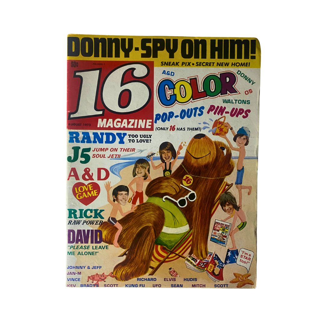 Cover of VTG 16 Magazine August 1973 featuring vibrant graphics, the title prominently displayed, and references to pop culture icons like Rick Springfield and the Brady Bunch. This vintage magazine captures the essence of 1970s entertainment.