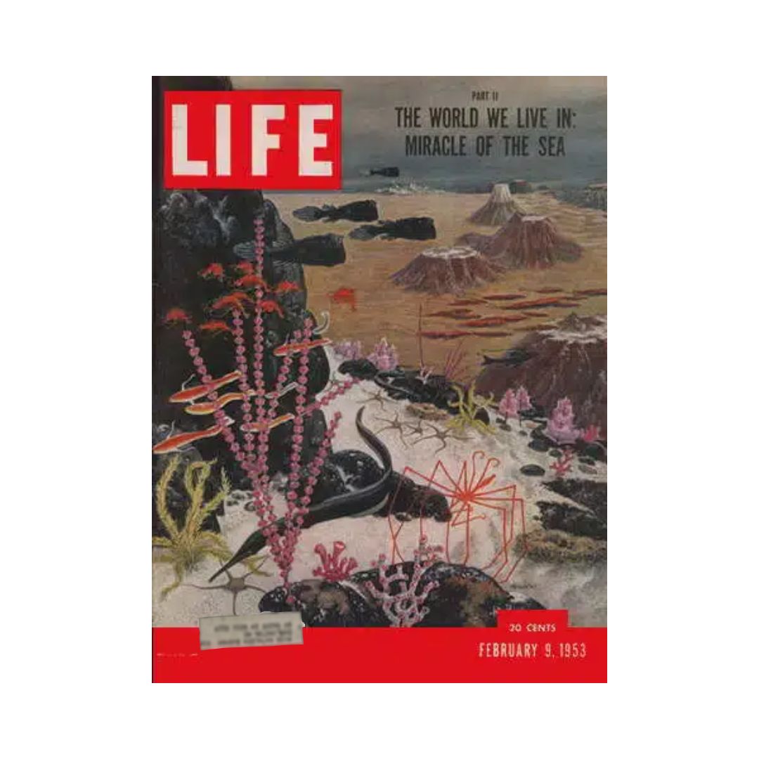 Cover of VTG Life Magazine February 9, 1953 featuring the article 'Miracle of the Sea', showcasing a vibrant underwater scene with coral and marine life against a backdrop of rocky shores.