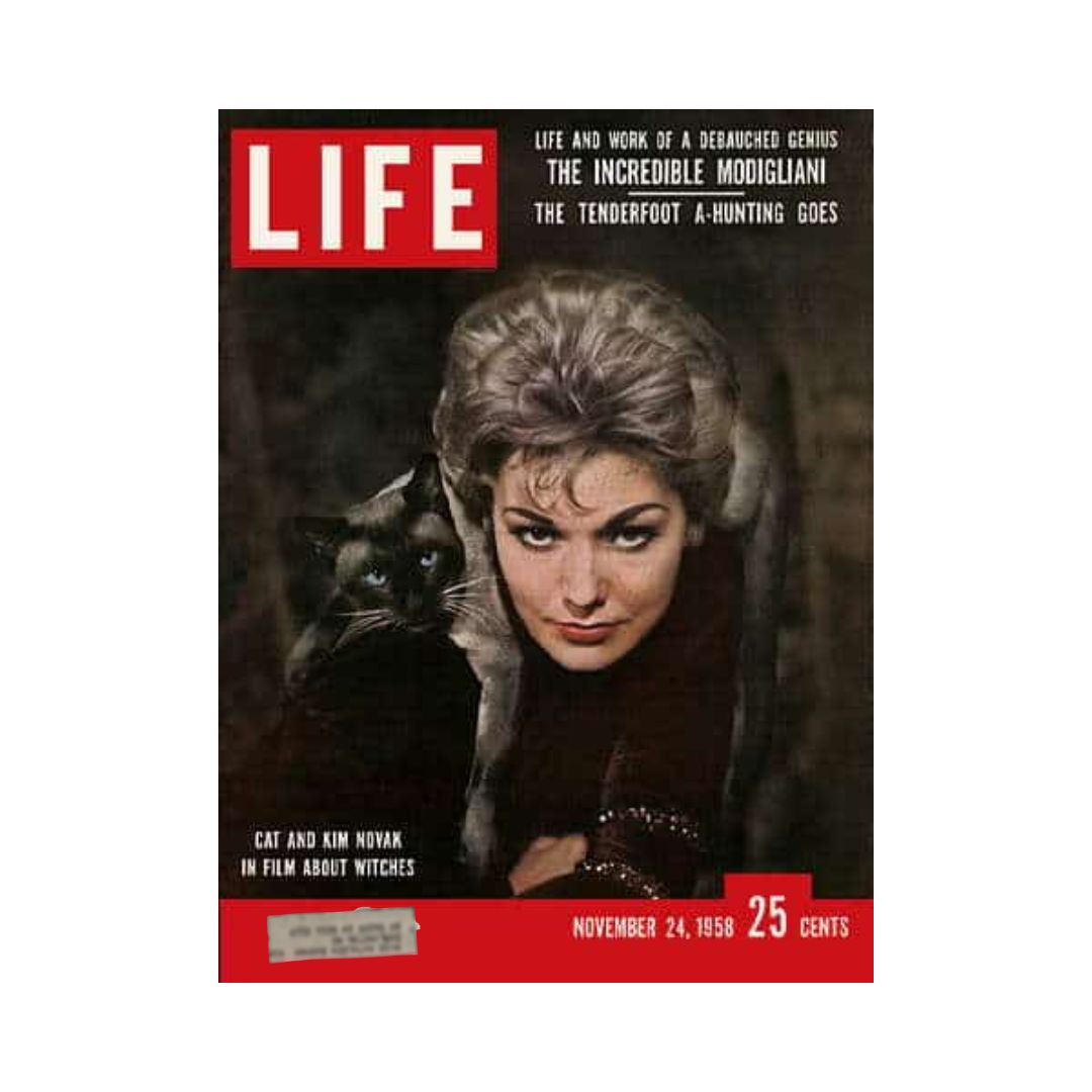 VTG Life Magazine November 24, 1958 cover featuring Kim Novak with a cat, showcasing vintage Hollywood glamour.