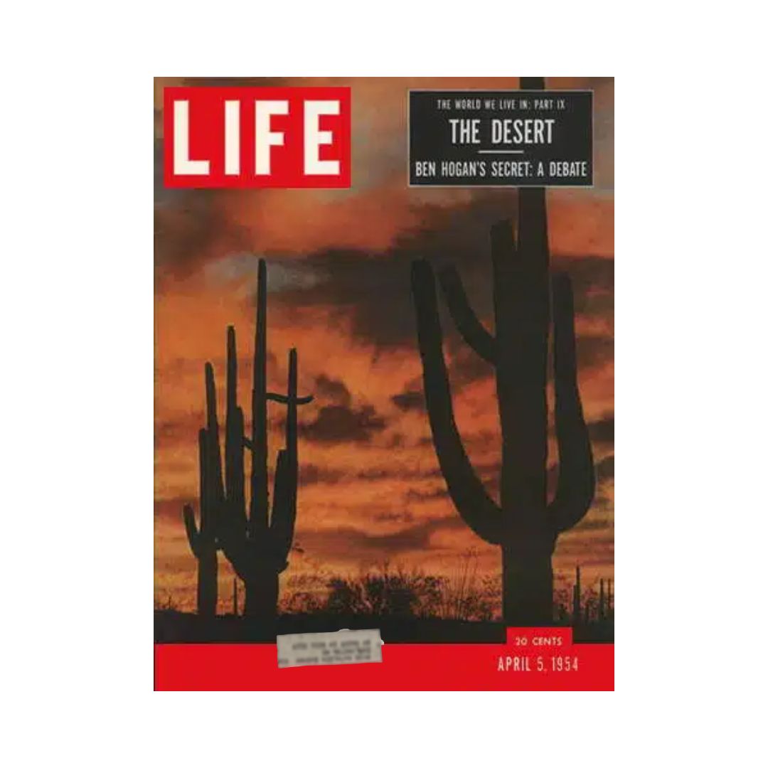 VTG Life Magazine April 5, 1954 cover featuring The Desert, showcasing striking silhouettes of cacti against a dramatic sunset.