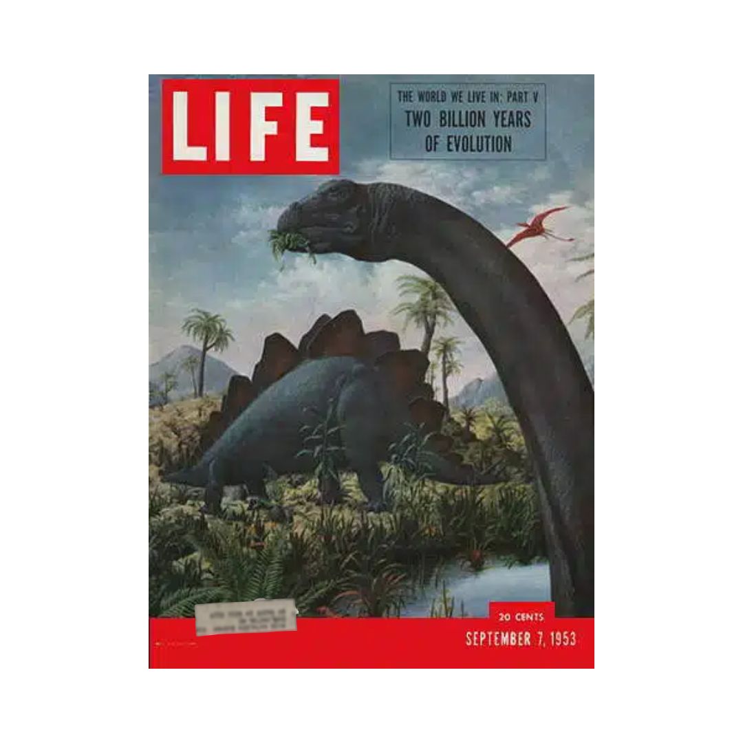 Cover of VTG Life Magazine September 7, 1953 featuring the article 'Two Billion Years of Evolution' depicting dinosaurs in a prehistoric landscape with lush vegetation and mountains in the background.