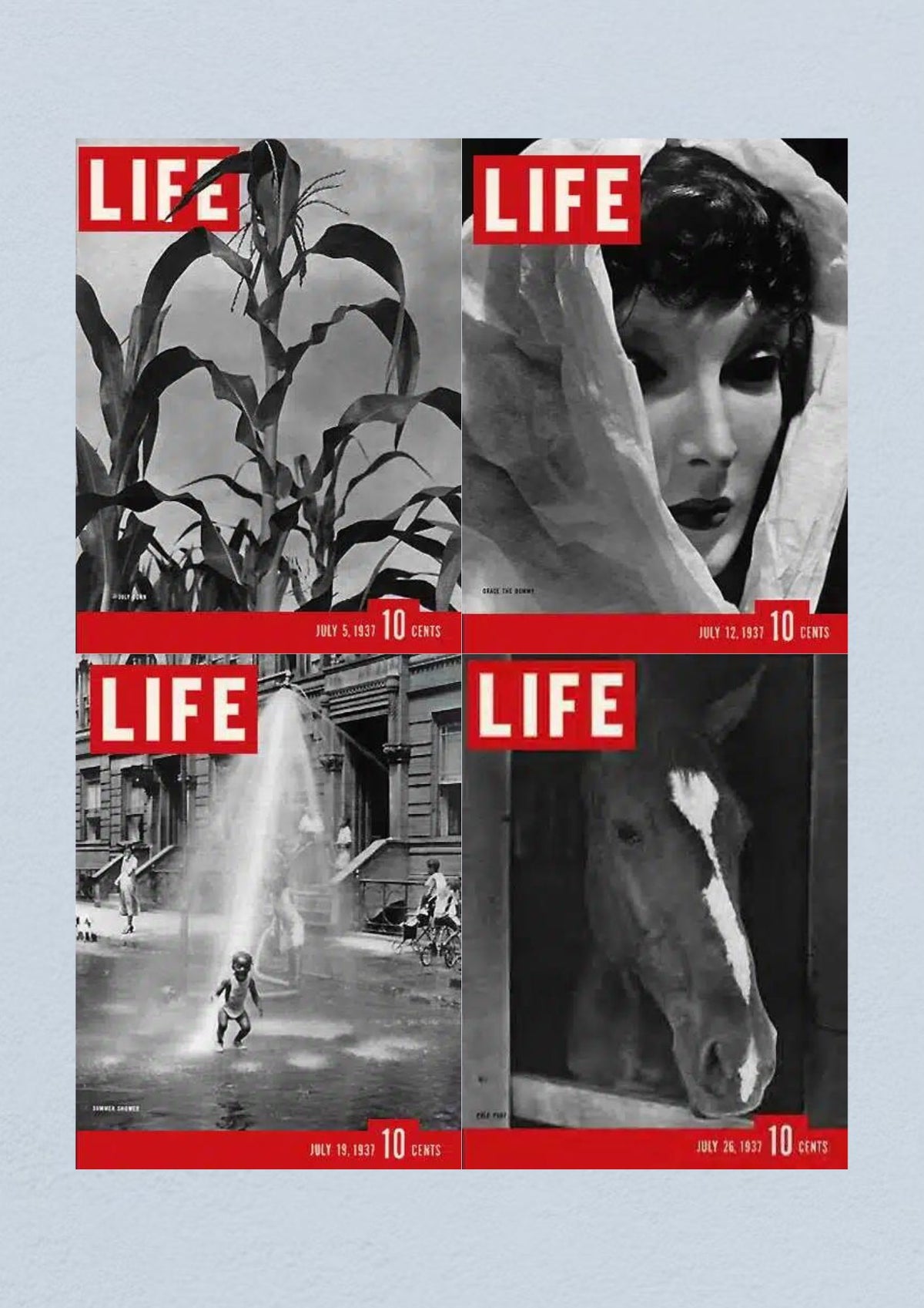Cover of Life Magazine dated July 26, 1937 featuring a horse's head with the title 'Life Magazine Lot of 4 Full Month of July 1937 5, 12, 19, 26'.