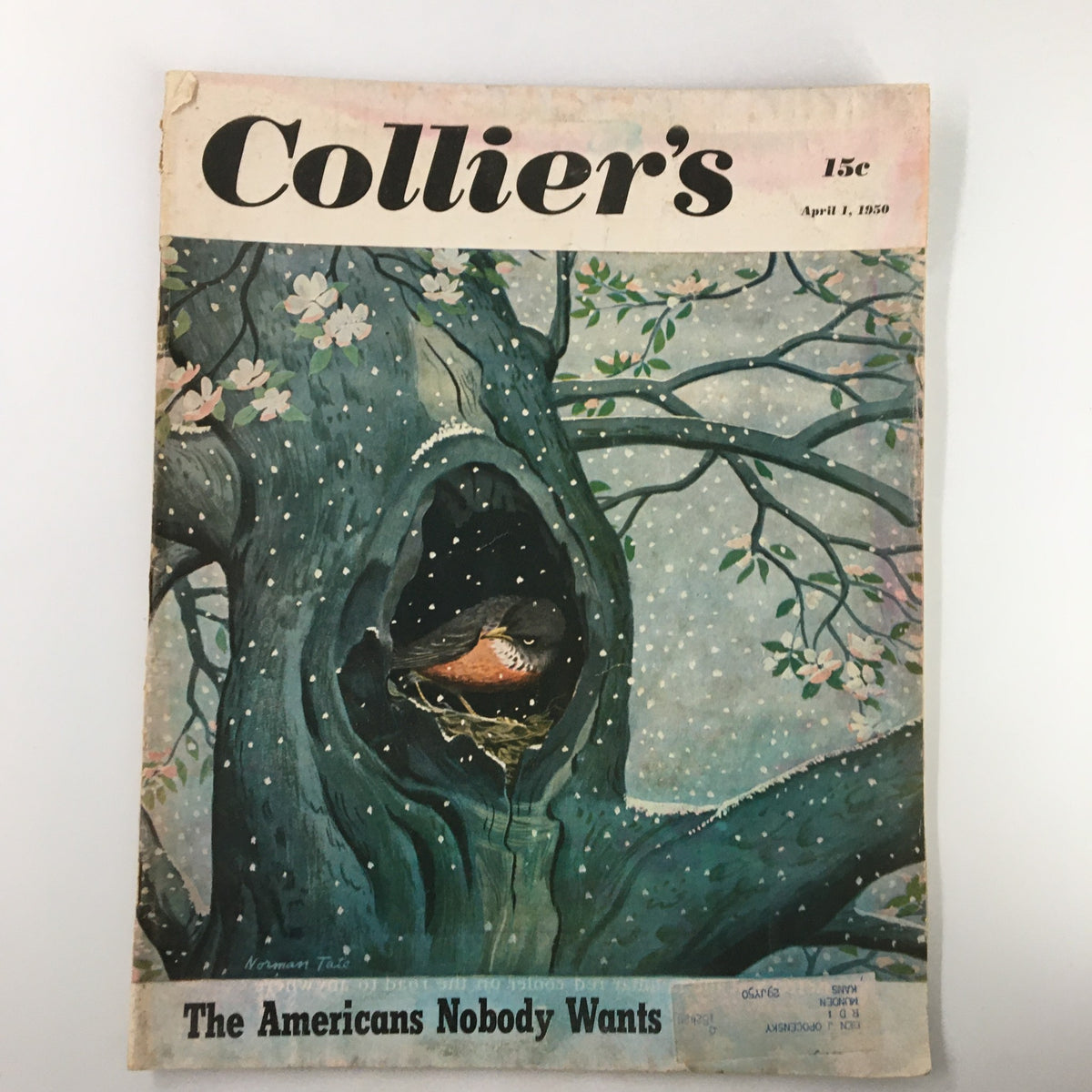 VTG Collier's Magazine April 1 1950 cover featuring a bird's nest in a tree, with the title 'The Americans Nobody Wants' and beautiful floral illustrations.
