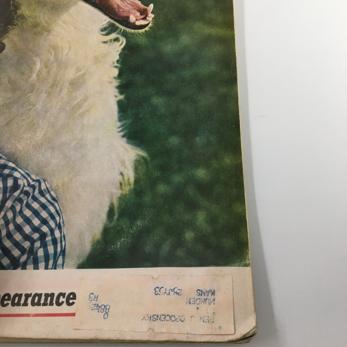 Side view of the VTG Collier's Magazine July 29, 1950, highlighting a dog's image and the title 'The Most Amazing Tantalizing Disappearance'.