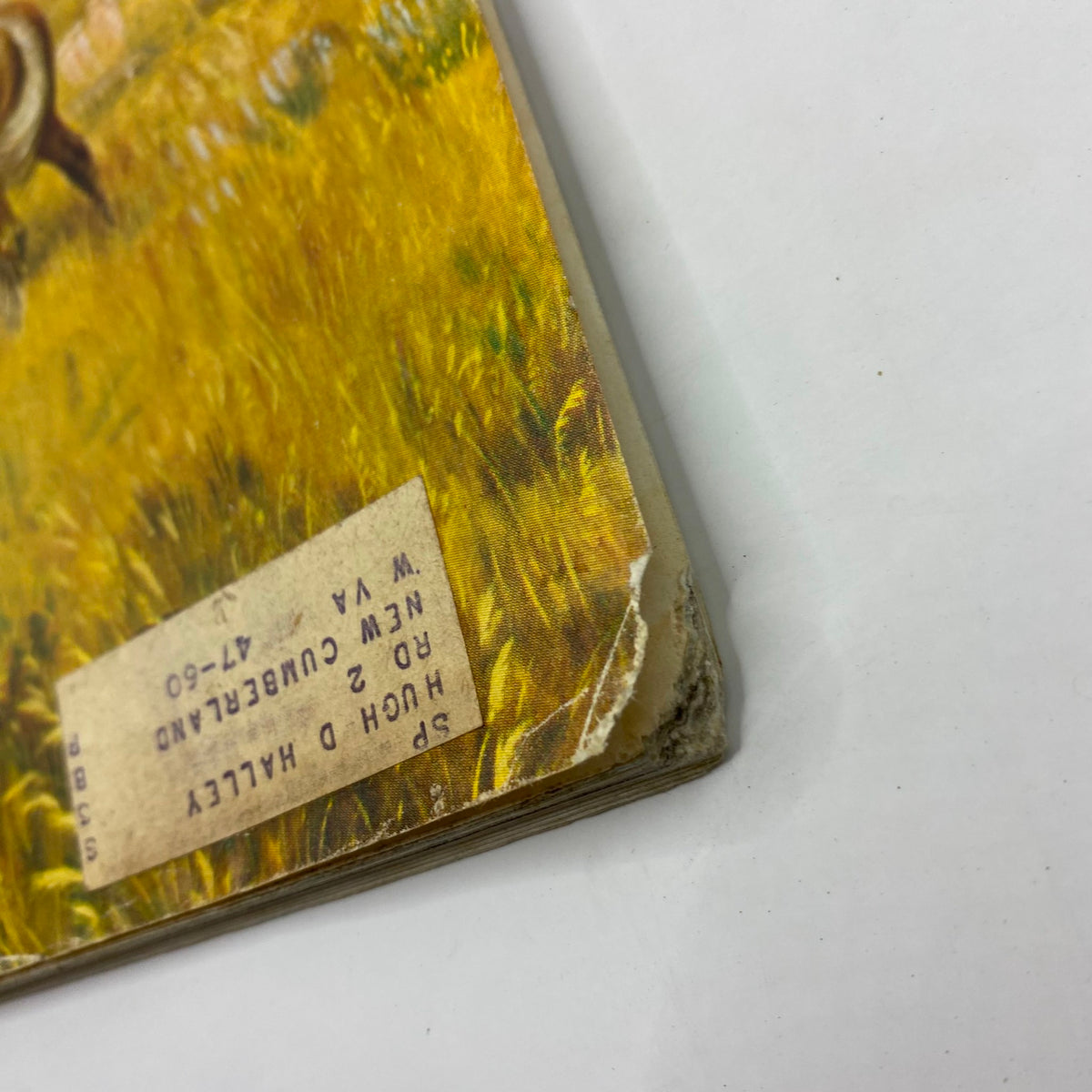 Close-up of the corner of the Saturday Evening Post Magazine from May 23, 1959, featuring an artwork by John Clymer, showcasing a partially torn corner with a vintage label.