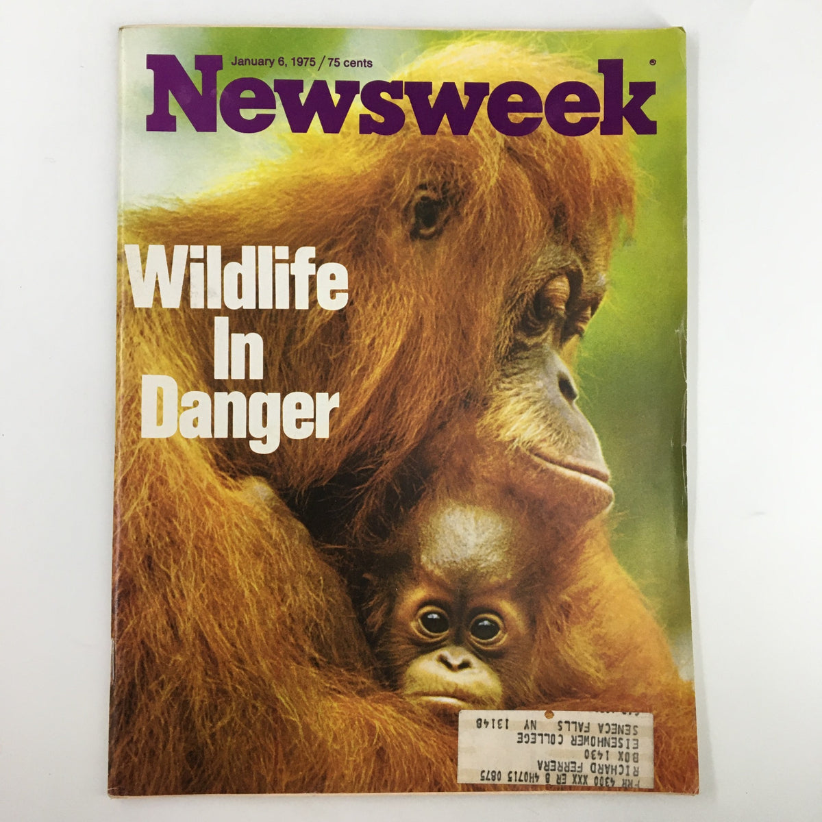 Vintage Newsweek Magazine January 6 1975 Wildlife in Danger Orangutans in Cover
