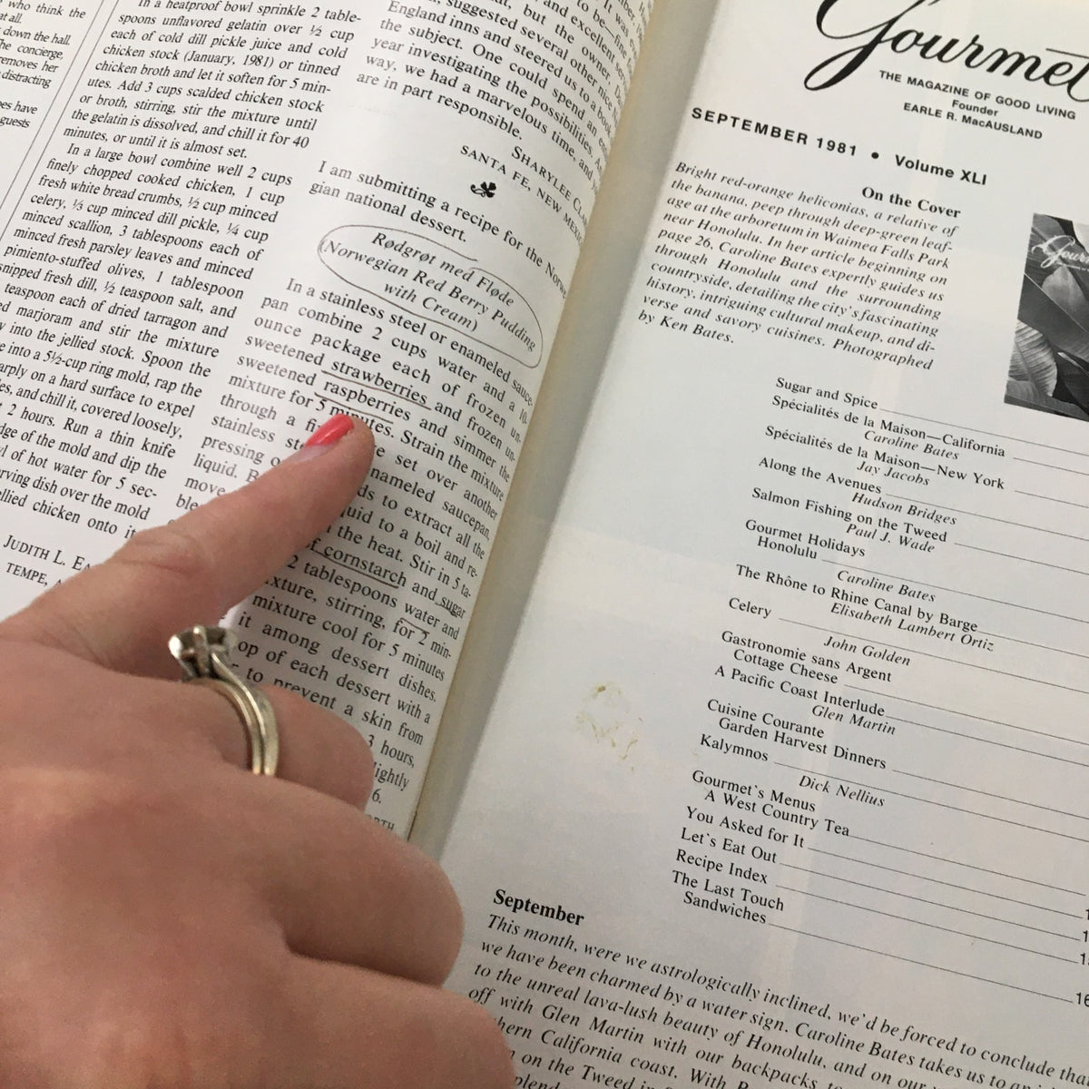 Close-up view of a recipe page in VTG Gourmet Magazine September 1981, showcasing handwritten notes and highlighted recipes.