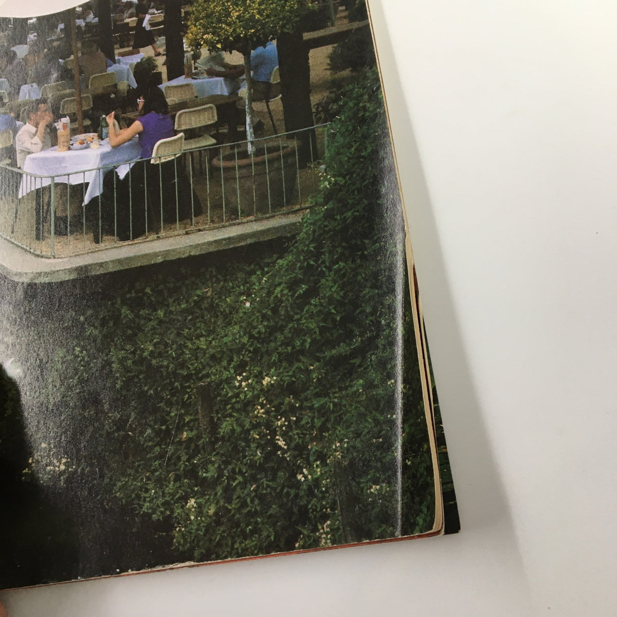 Outdoor dining scene from VTG Gourmet Magazine August 1982, showcasing tables set under trees, reflecting culinary culture in Antica Locanda Mincio.