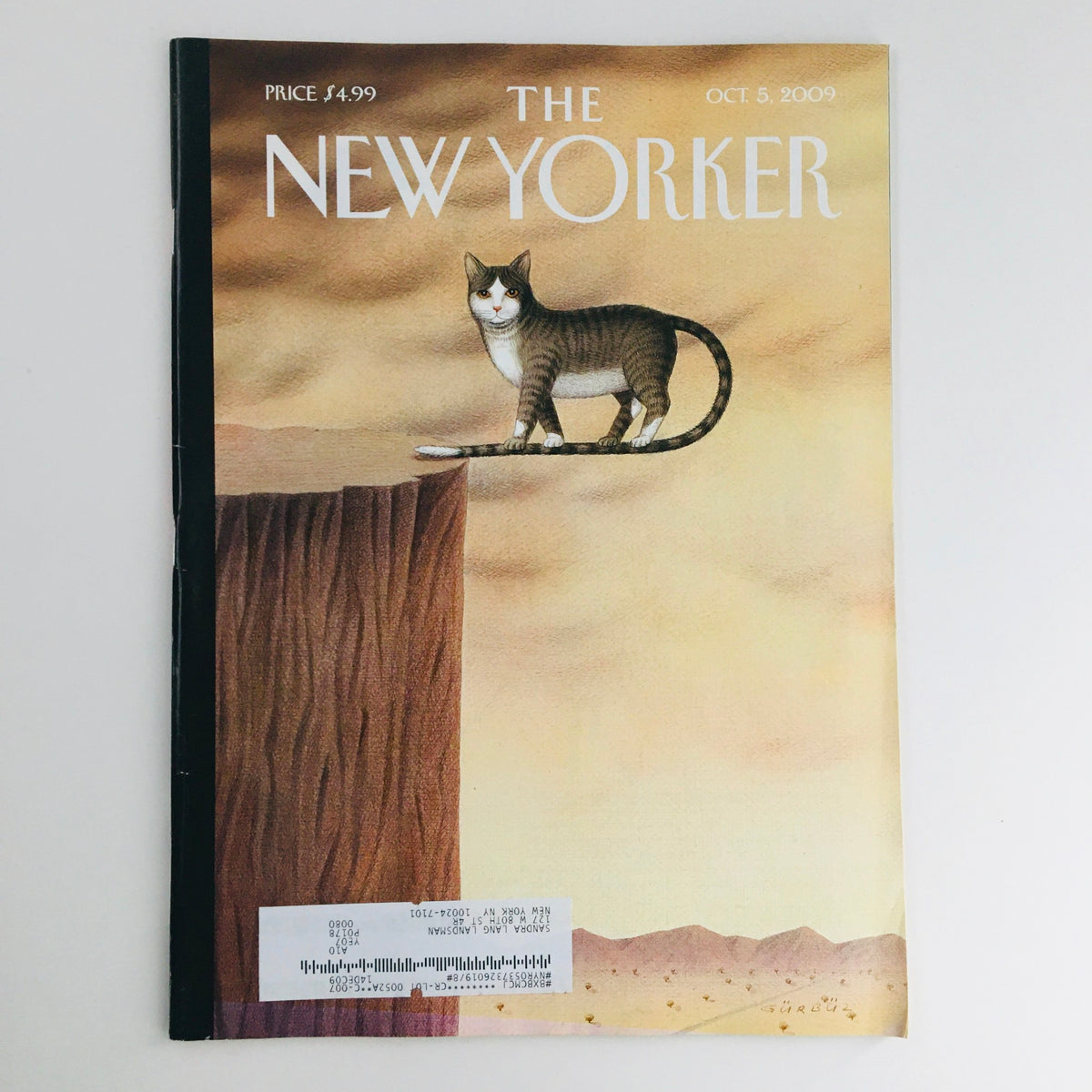 Cover of The New Yorker Magazine, October 5, 2009, featuring artwork by Gürbüz Doğan Ekşioğlu, showcasing a cat on a cliff against a desert background.