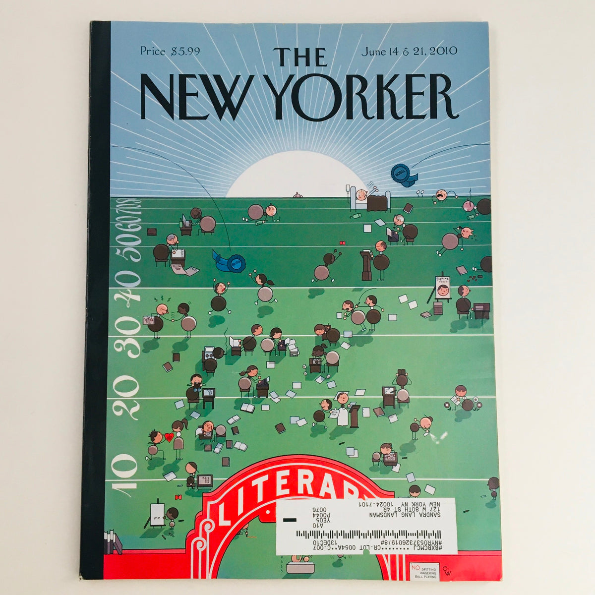 Cover of The New Yorker Full Magazine June 14 2010 featuring the cover art 'Finish Line' by Chris Ware, depicting a vibrant scene with people on a green field, encapsulating the essence of storytelling and illustration.