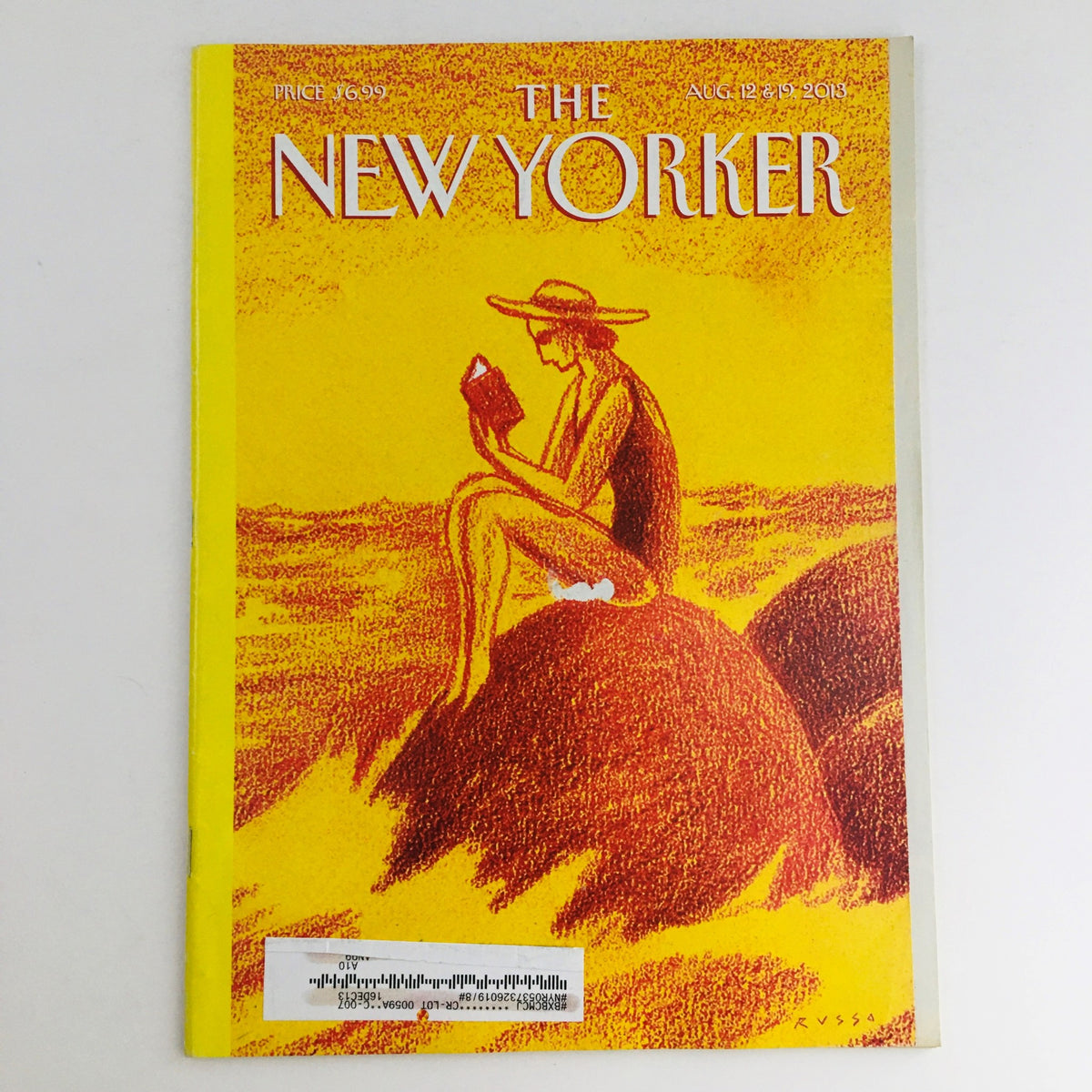 The New Yorker August 12 2013 Full Magazine Theme Cover by Anthony Russo featuring a vibrant illustration of a woman reading on a rock, symbolizing contemporary American culture.