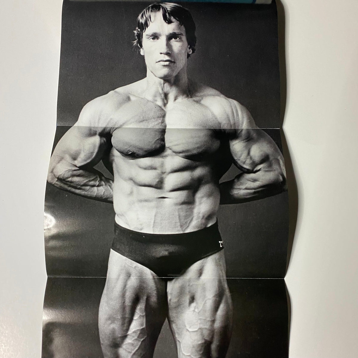 Poster from Muscular Development Magazine April 2011 featuring Arnold Schwarzenegger showcasing his muscular physique, perfect for bodybuilding enthusiasts and collectors.