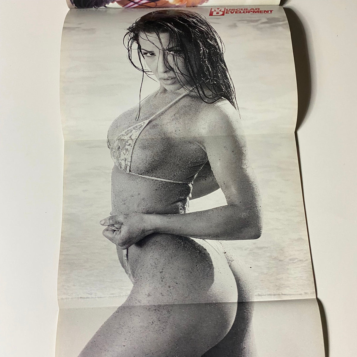 Inside poster from Muscular Development Magazine January 2001 showing a model in a bikini on the beach, highlighted as a collectible.