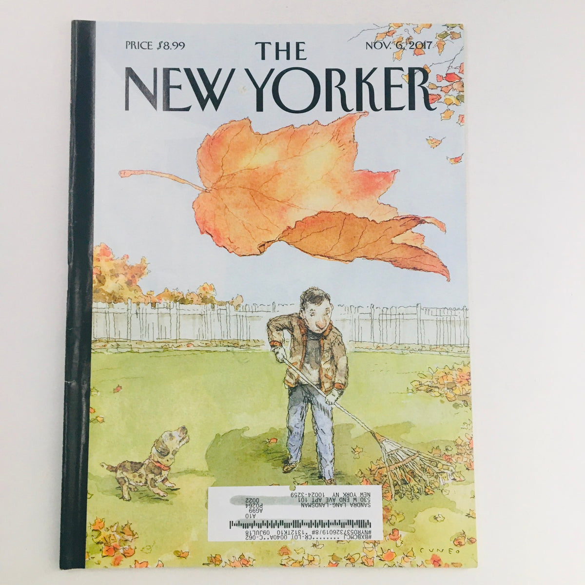 The New Yorker November 6 2017 Full Magazine Theme Cover by John Cuneo, depicting a young boy raking leaves in a vibrant autumn setting with a dog nearby.