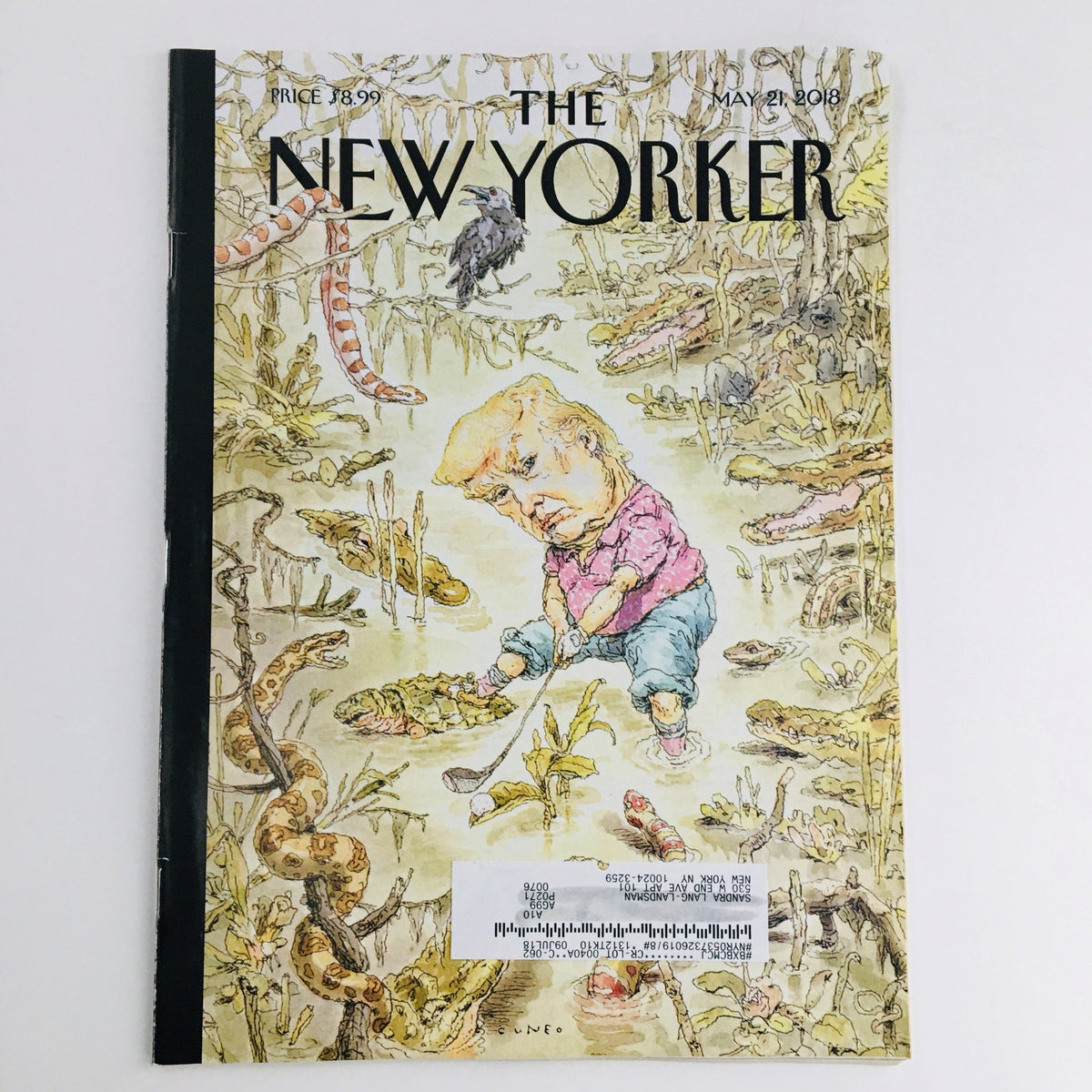 The New Yorker May 21, 2018 magazine cover featuring artwork by John Cuneo, illustrating a satirical representation of a figure in a swamp, surrounded by snakes and other wildlife.