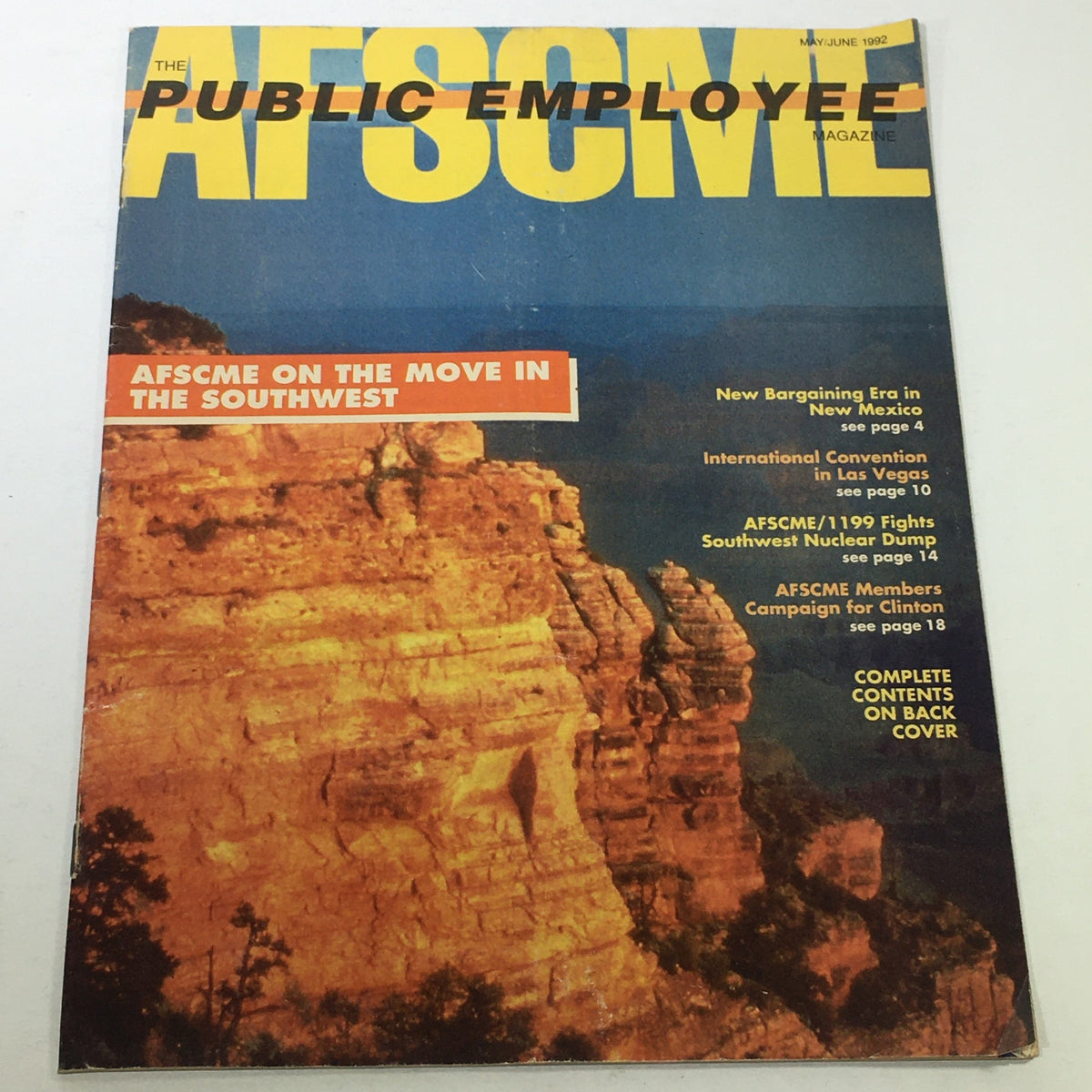 Cover of The Public Employee Magazine: May-June 1992, featuring the theme 'AFSCME On The Move in the Southwest' with striking landscape imagery.