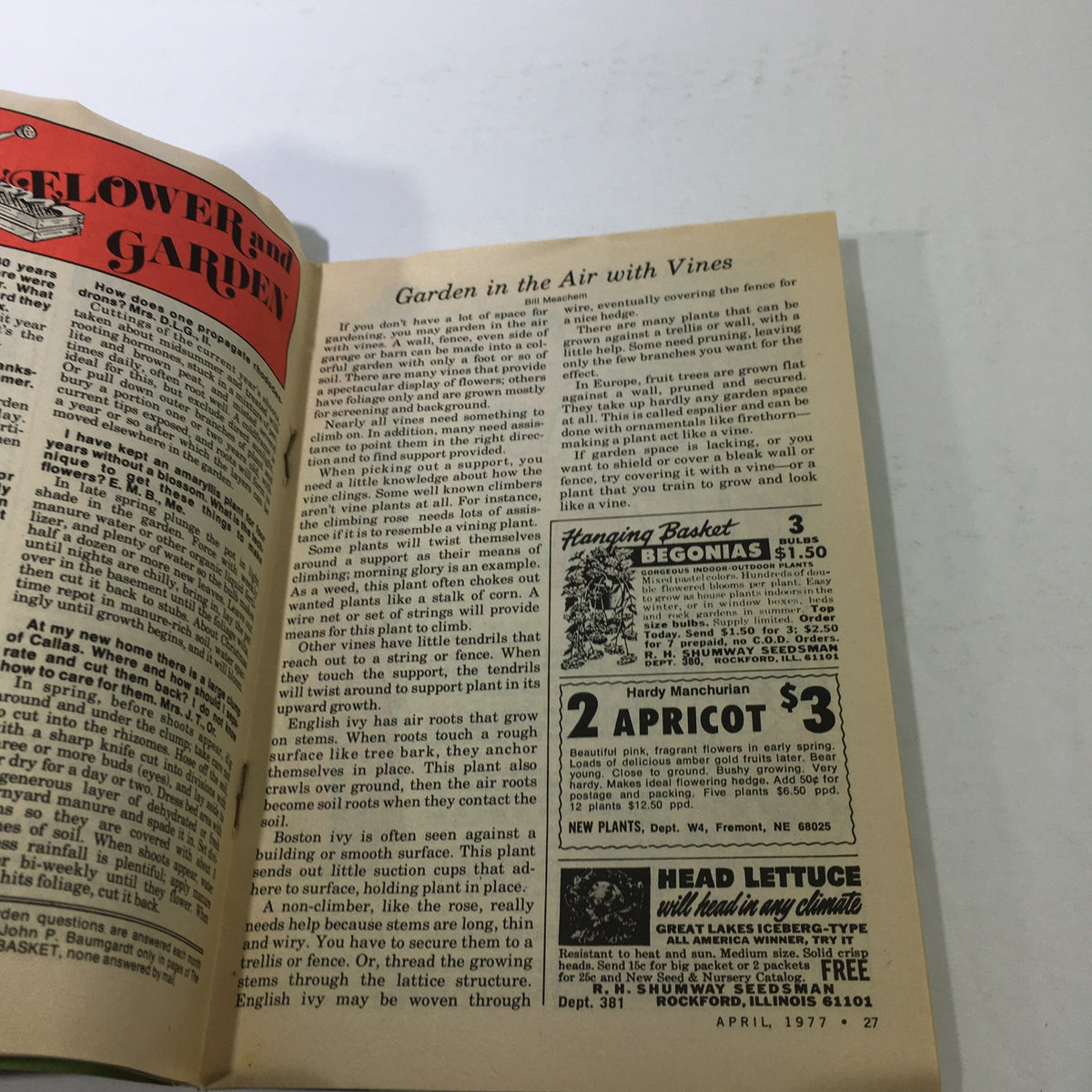 Inside page showing garden tips from the VTG The Workbasket & Home Arts Magazine April 1977, featuring an article about climbing vines and gardening techniques.
