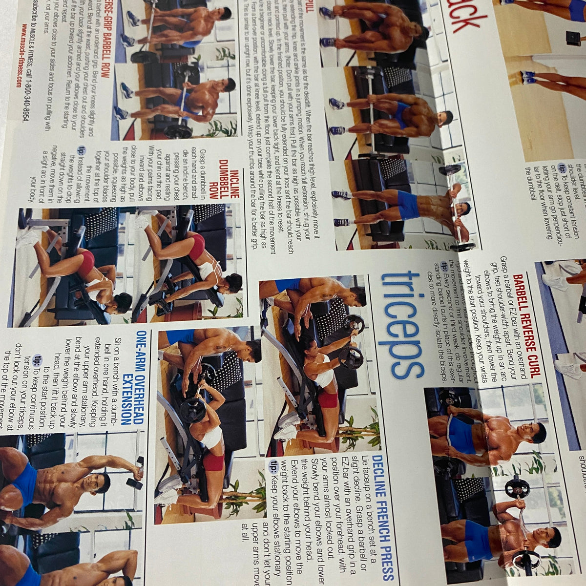Muscle & Fitness Magazine December 2001 featuring workout guides for triceps and back exercises with visuals of male models demonstrating different fitness routines.