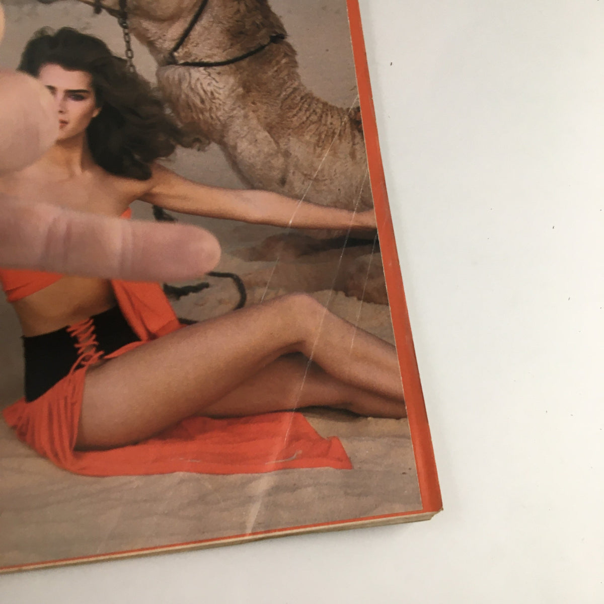 Close-up view of the People Weekly Magazine from February 28, 1983, showcasing Brooke Shields in orange attire, emphasizing the intricate details of the magazine's presentation and the camel in the background.