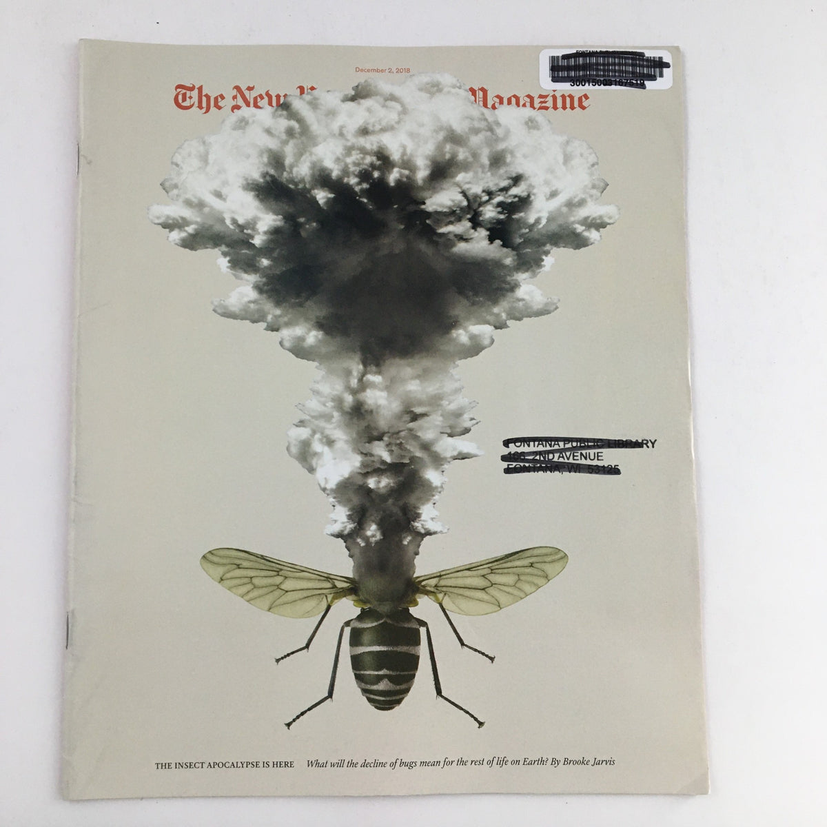Cover of The New York Times Magazine, December 2, 2018, featuring a dramatic illustration of a large insect with a smoke cloud, symbolizing the theme "The Insect Apocalypse Is Here" highlighting critical environmental issues.