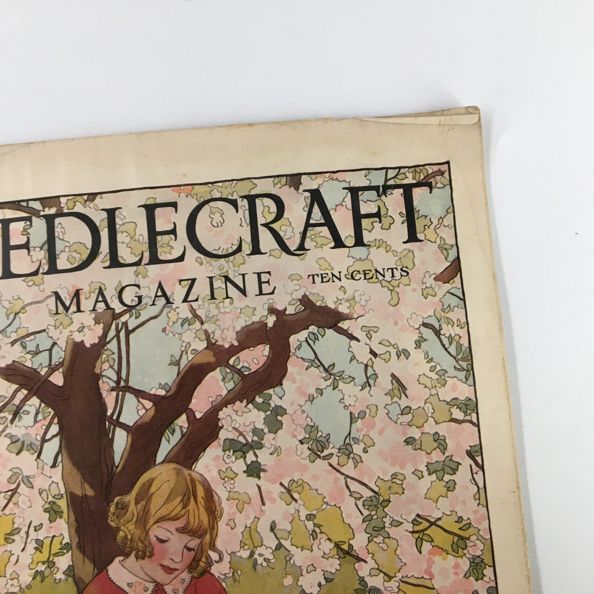 Close-up of the VTG Needlecraft Magazine May 1928 Vol. 19 No. 9 cover, highlighting the title and beautiful floral artwork.