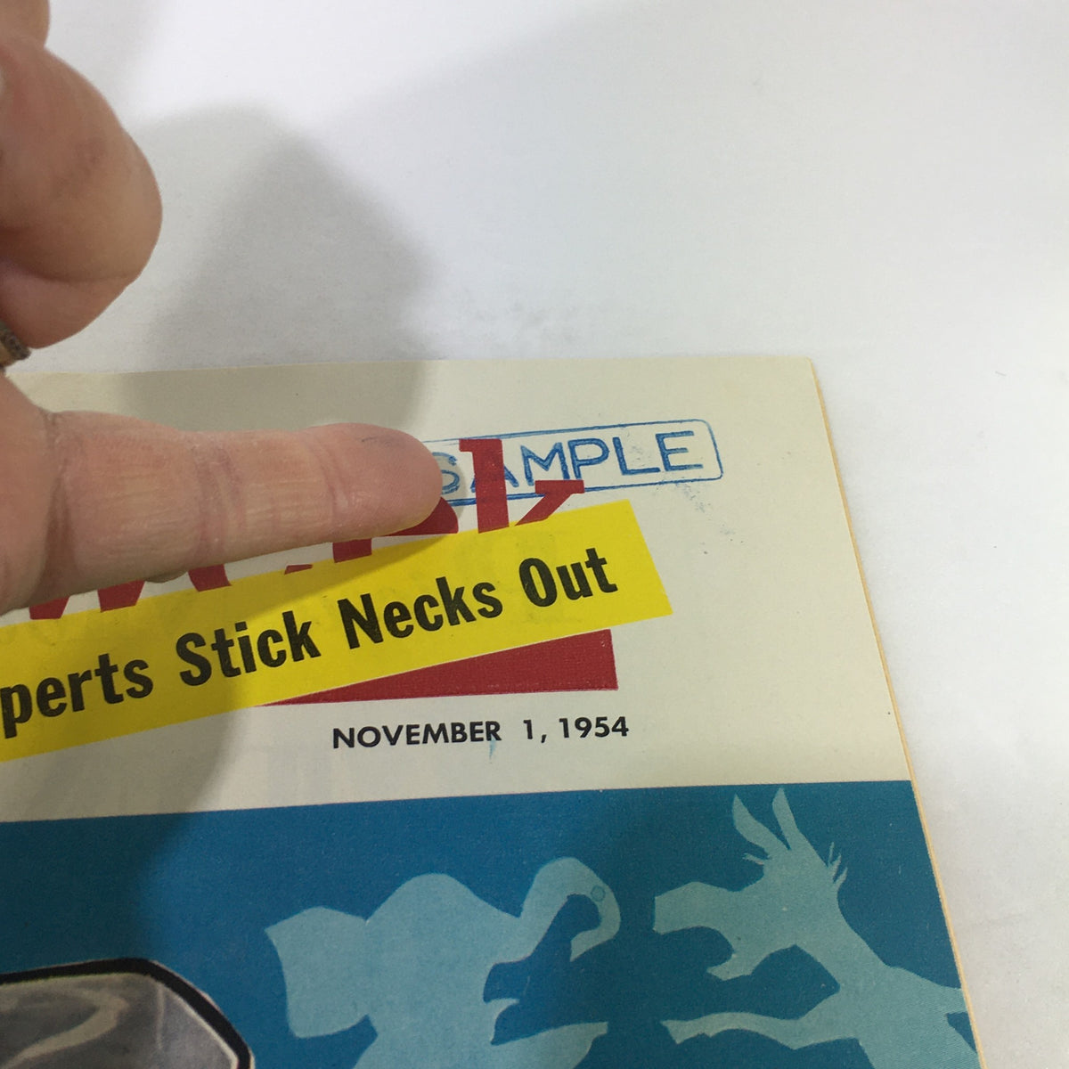 Close-up of the VTG Newsweek Magazine November 1 1954 cover showing the 'SAMPLE' label and highlighted section reading 'Experts Stick Necks Out', dated November 1, 1954.