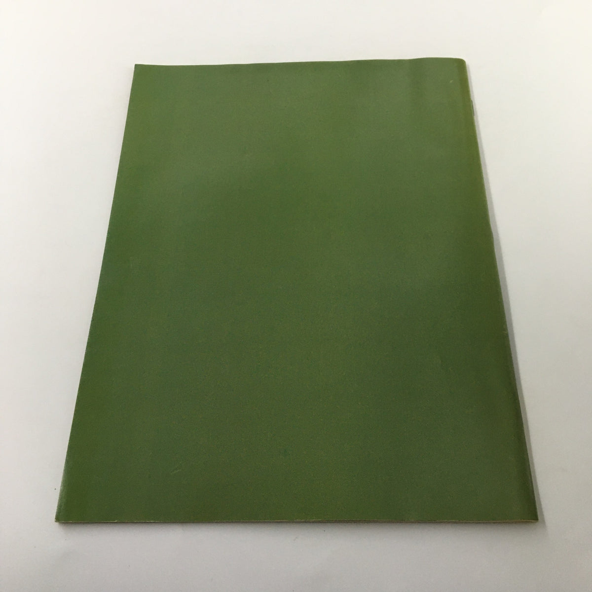 Back cover of 'TV Guide Magazine 1915-1998 Frank Sinatra His Life in Words & Pictures', presented with a plain green design.