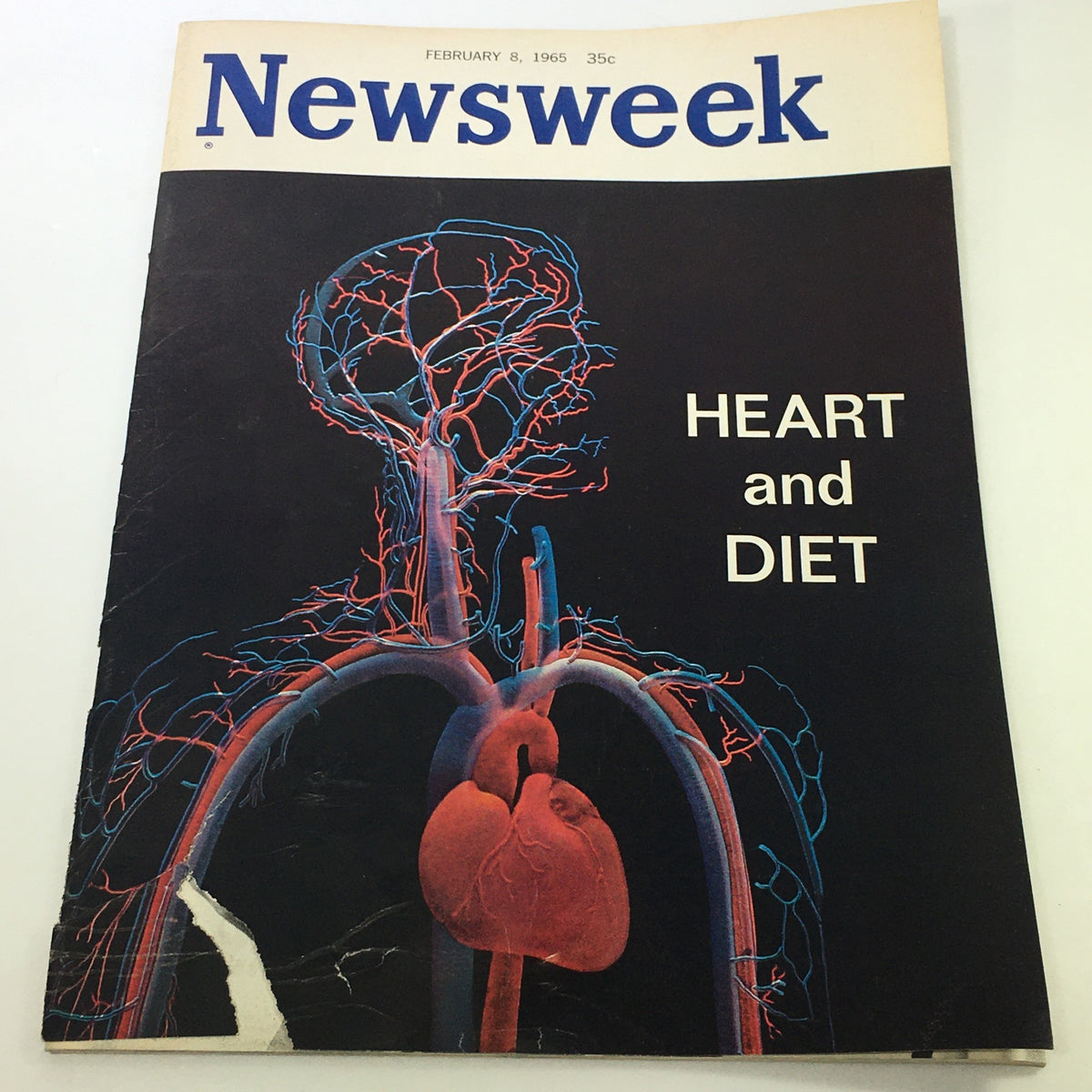VTG Newsweek Magazine February 8 1965 cover featuring a detailed illustration of the human heart and vascular system, highlighting topics on heart health and diet, with the text 'HEART and DIET' prominently displayed.