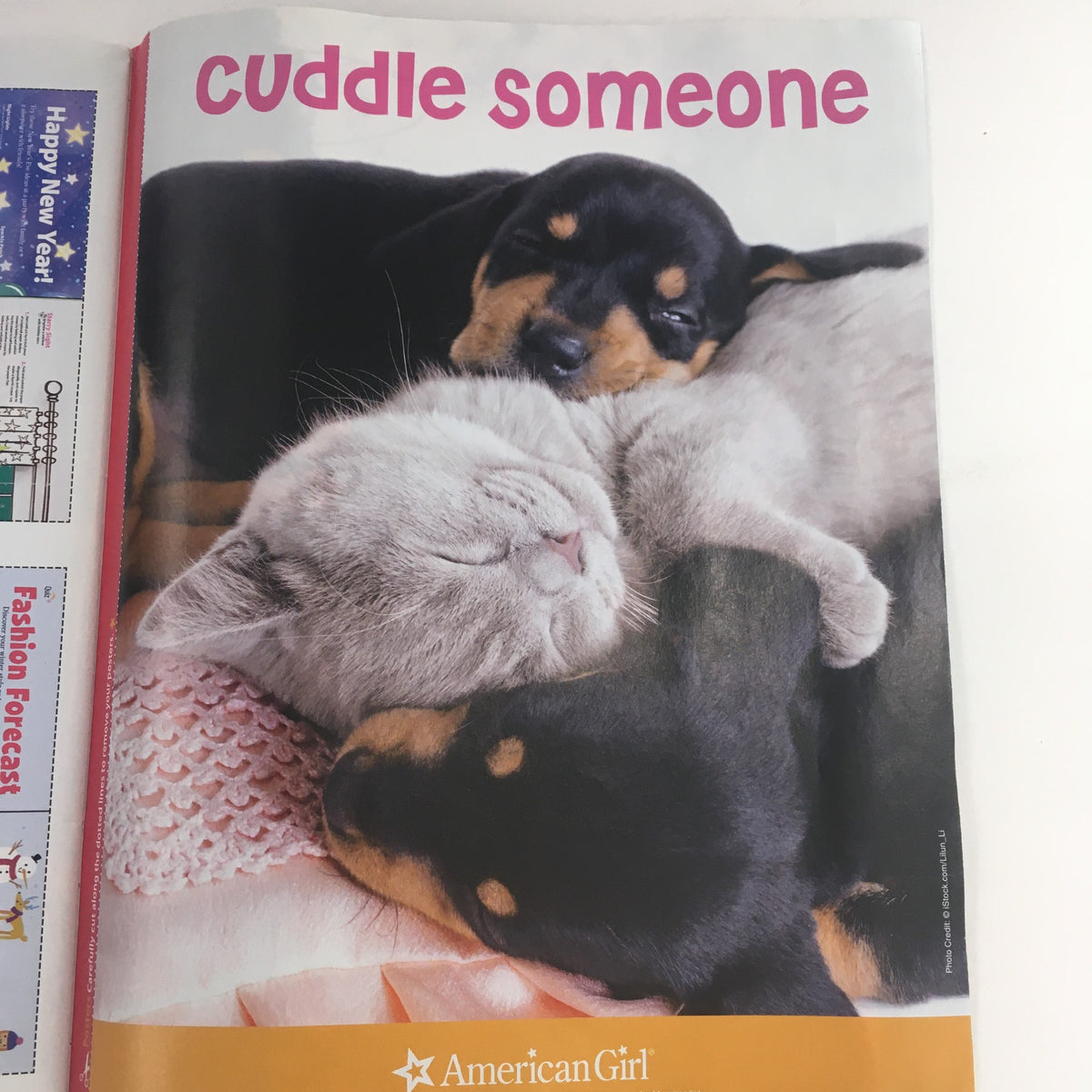Inside page of American Girl Magazine November 2014 displaying an adorable image of sleeping puppies and kittens, with the text 'Cuddle Someone' promoting friendship and comfort.